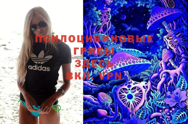 гидропоника Белоозёрский