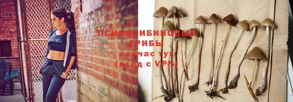 гидра Богородск