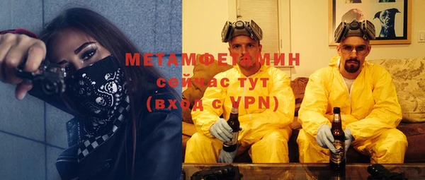 гидра Богородск