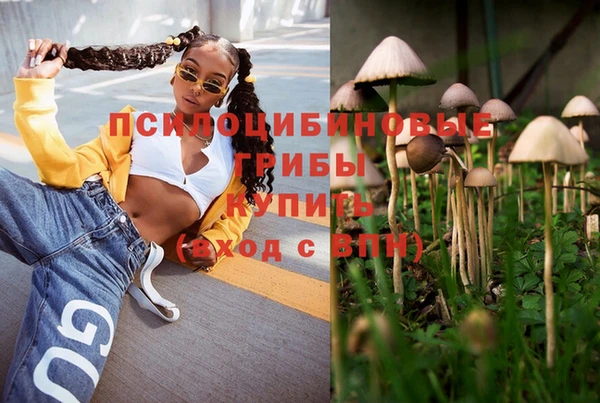 мдма Богородицк