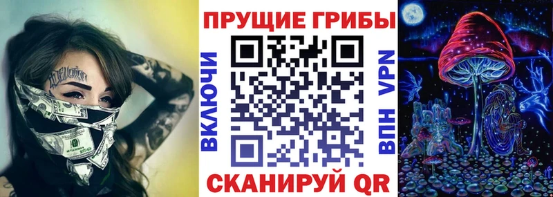 дарнет шоп  Гусев  Галлюциногенные грибы Cubensis 