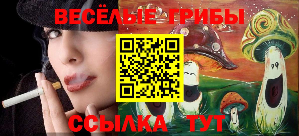 Гусев  Псилоцибиновые грибы ЛСД  купить наркоту  Галлюциногенные грибы ЛСД  Вход с VPN 